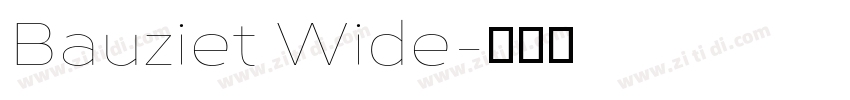 Bauziet Wide字体转换